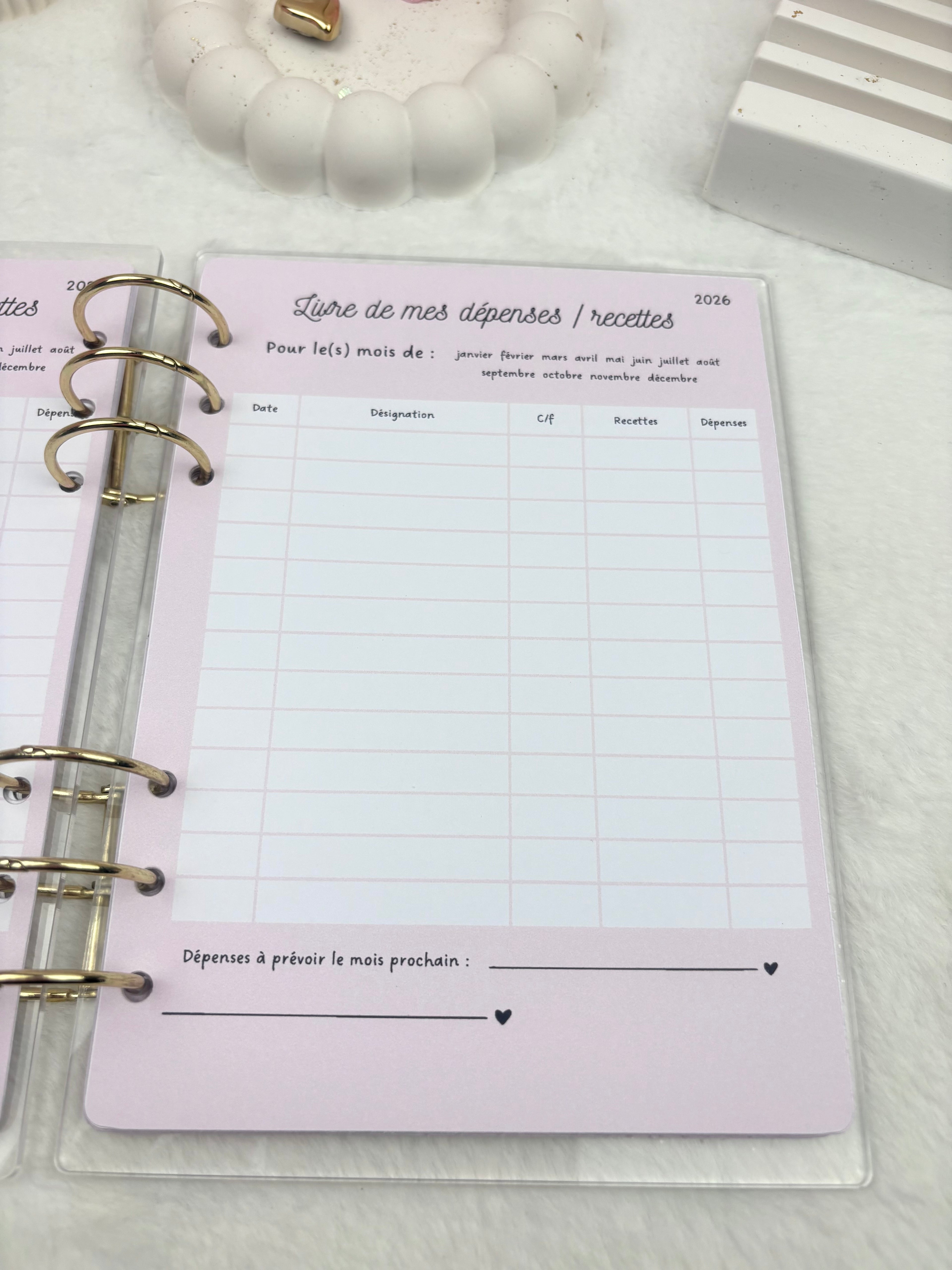 Livre Dépense /recettes