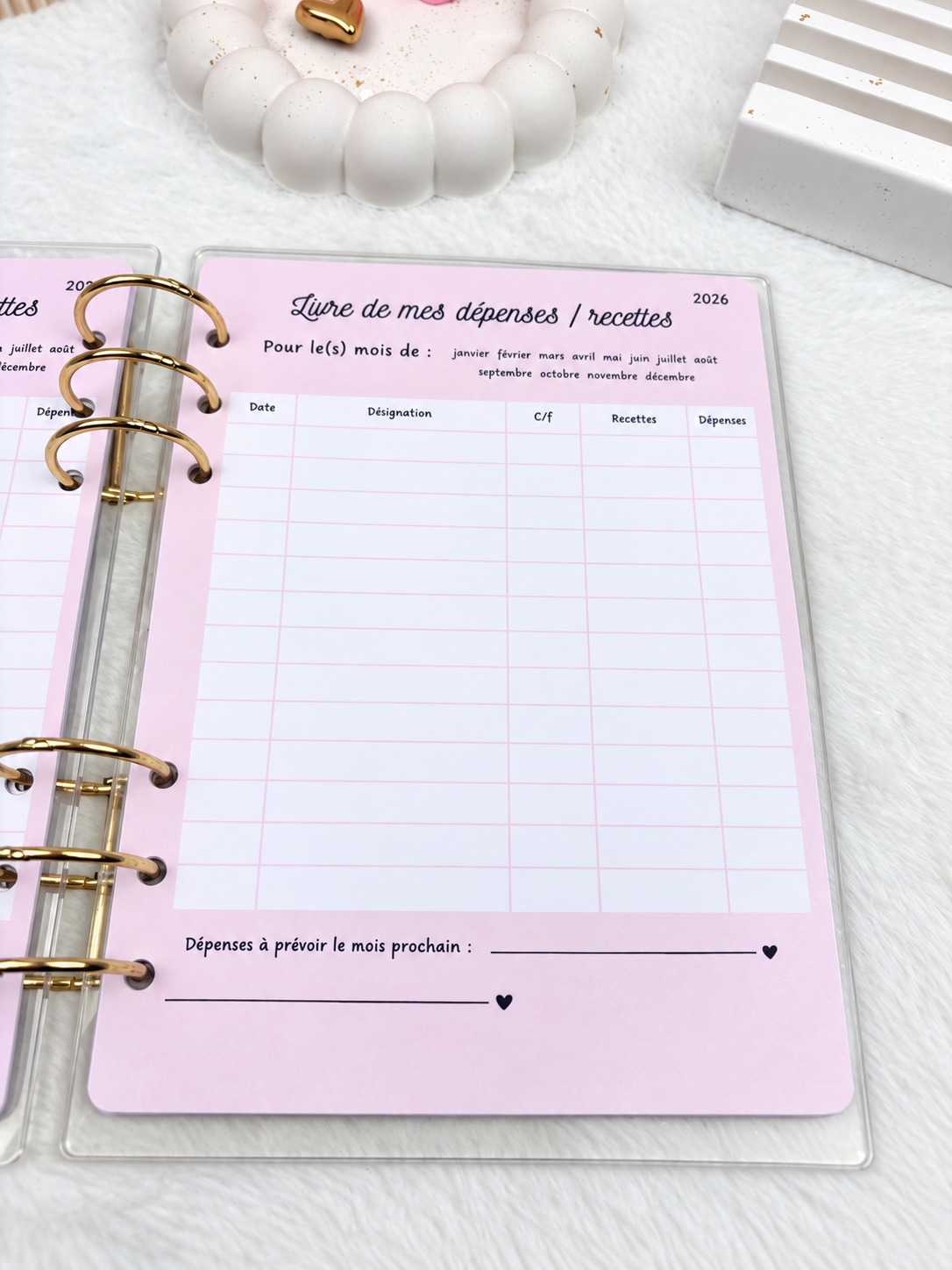 Livre Dépense /recettes